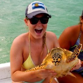 Juvenile sea turtle abundance research project, School for Field Studies, TCI (Spring 2014)