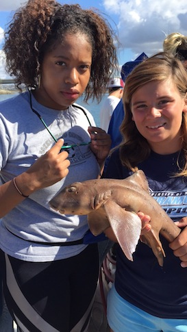 Studying the biodiversity of life at the Gulf of Mexico off Panama City